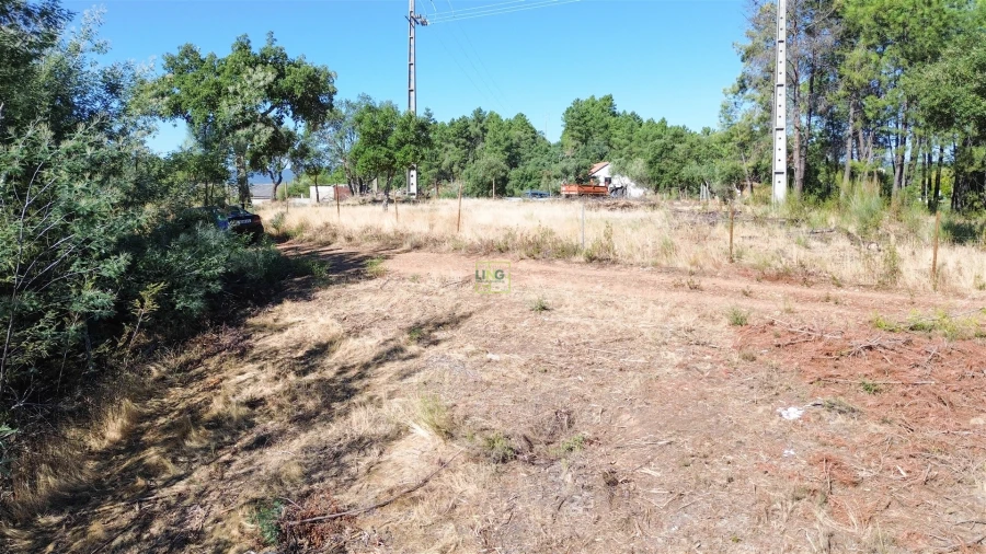 Terreno Agricola ou Rústico para Venda em Ninho do Açor e Sobral do Campo Foto 23