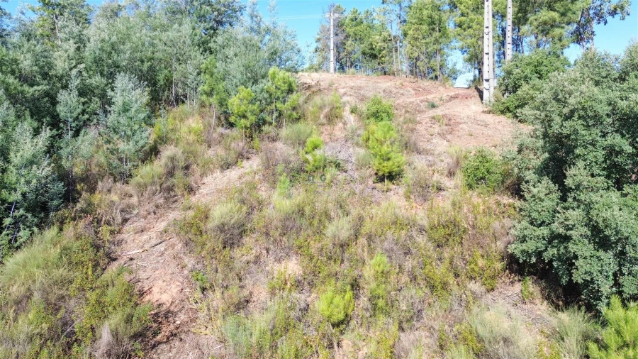 Terreno Agricola ou Rústico para Venda em Ninho do Açor e Sobral do Campo Foto 21