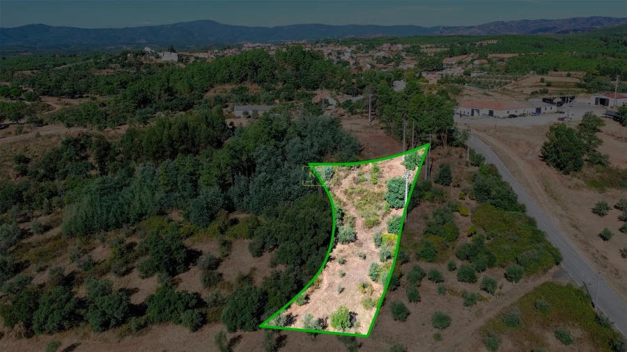 Terreno Agricola ou Rústico para Venda em Ninho do Açor e Sobral do Campo Foto 15