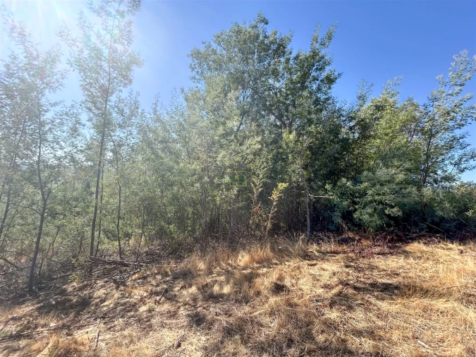 Terreno Agricola ou Rústico para Venda em Ninho do Açor e Sobral do Campo Foto 40