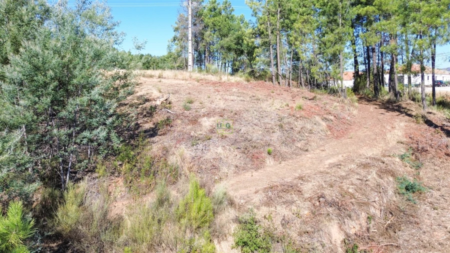 Terreno Agricola ou Rústico para Venda em Ninho do Açor e Sobral do Campo Foto 22