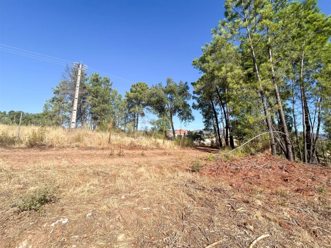 Terreno Agricola ou Rústico para Venda em Ninho do Açor e Sobral do Campo Foto 41