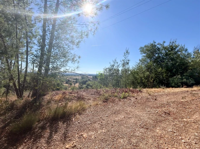 Terreno Agricola ou Rústico para Venda em Ninho do Açor e Sobral do Campo Foto 37