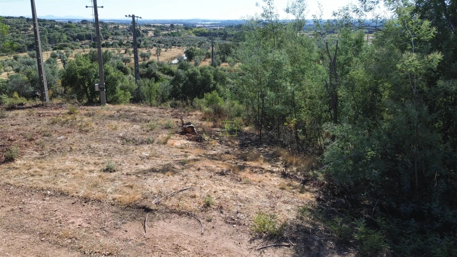 Terreno Agricola ou Rústico para Venda em Ninho do Açor e Sobral do Campo Foto 4