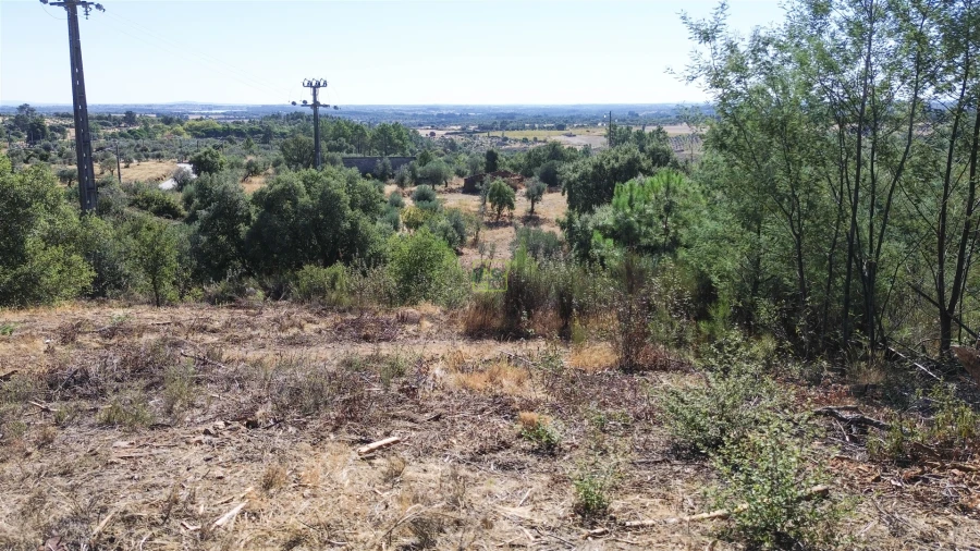 Terreno Agricola ou Rústico para Venda em Ninho do Açor e Sobral do Campo Foto 18