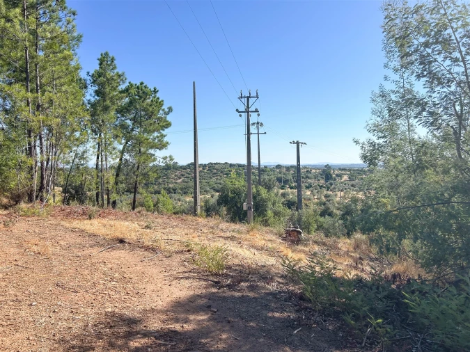 Terreno Agricola ou Rústico para Venda em Ninho do Açor e Sobral do Campo Foto 31