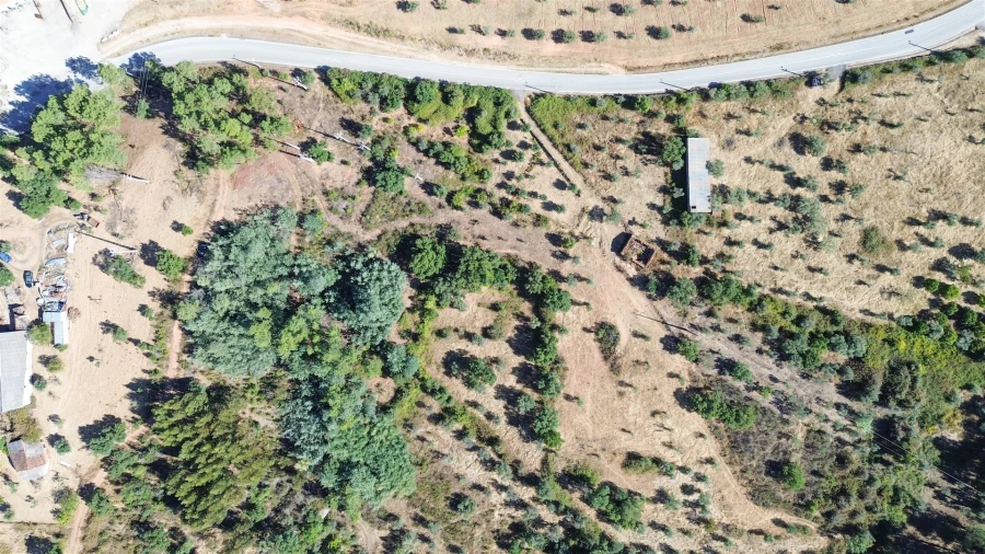 Terreno Agricola ou Rústico para Venda em Ninho do Açor e Sobral do Campo Foto 7