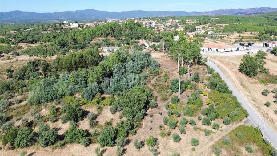 Terreno Agricola ou Rústico para Venda em Ninho do Açor e Sobral do Campo Foto 14