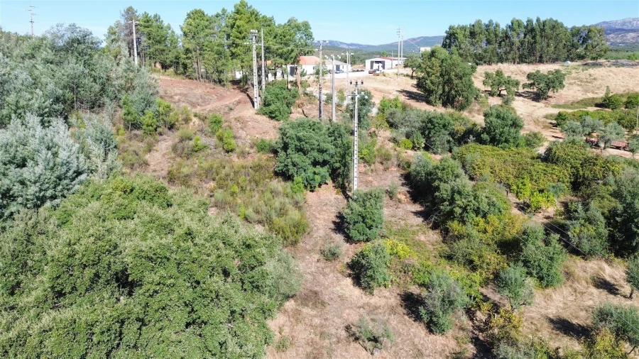 Terreno Agricola ou Rústico para Venda em Ninho do Açor e Sobral do Campo Foto 16