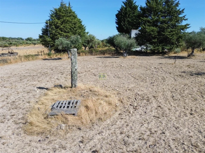 Terreno Agricola ou Rústico para Venda em Lardosa Foto 37