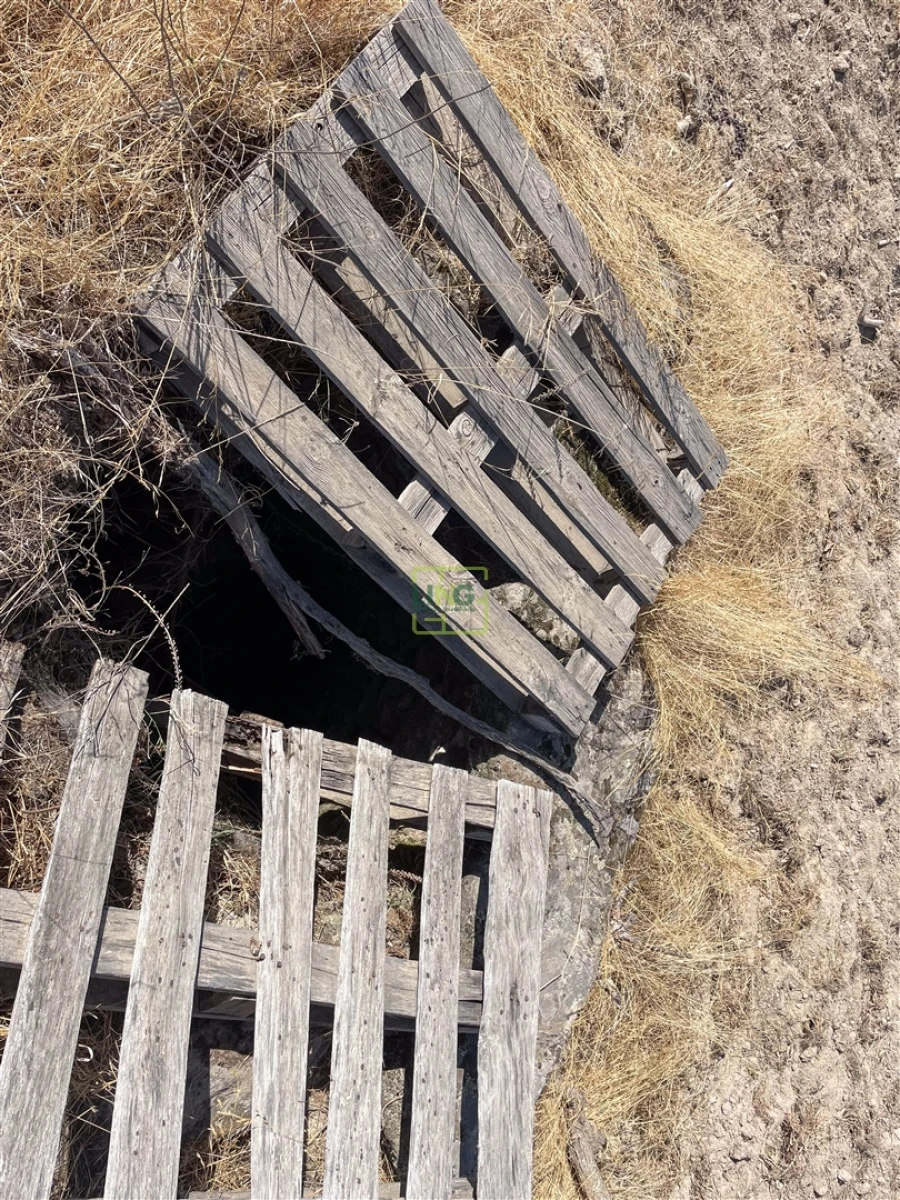 Terreno Agricola ou Rústico para Venda em Lardosa Foto 40