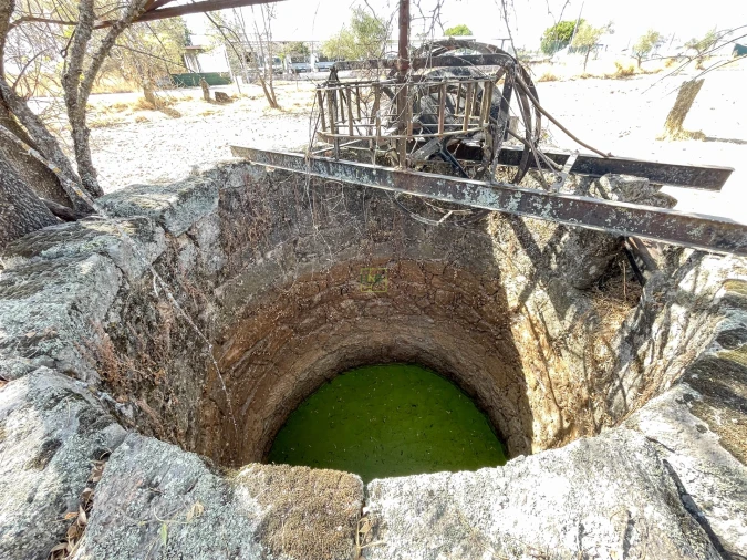 Terreno Agricola ou Rústico para Venda em Lardosa Foto 22