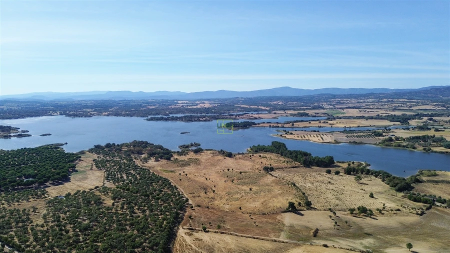 Terreno Agricola ou Rústico para Venda em Lardosa Foto 34