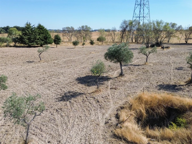 Terreno Agricola ou Rústico para Venda em Lardosa Foto 8