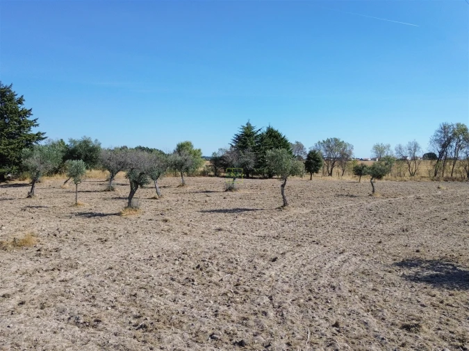 Terreno Agricola ou Rústico para Venda em Lardosa Foto 36