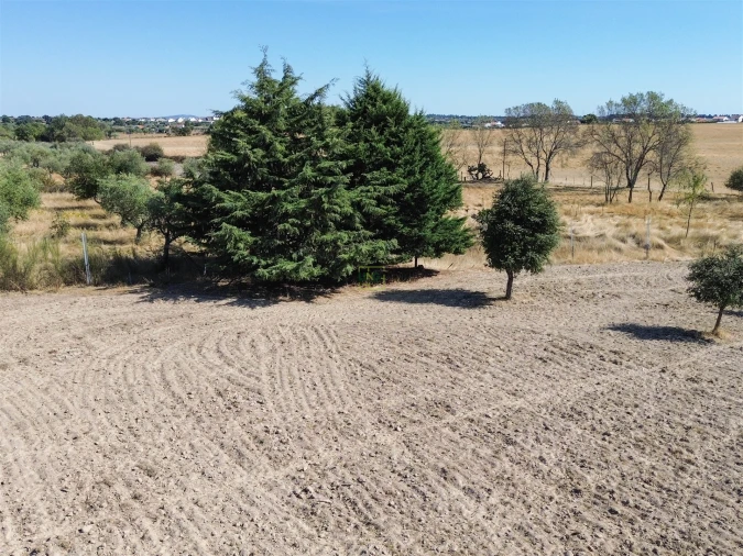 Terreno Agricola ou Rústico para Venda em Lardosa Foto 10
