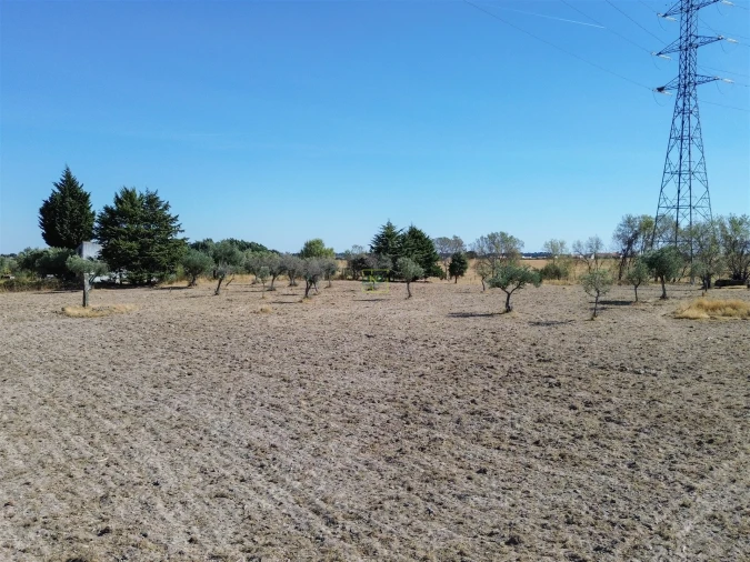 Terreno Agricola ou Rústico para Venda em Lardosa Foto 6