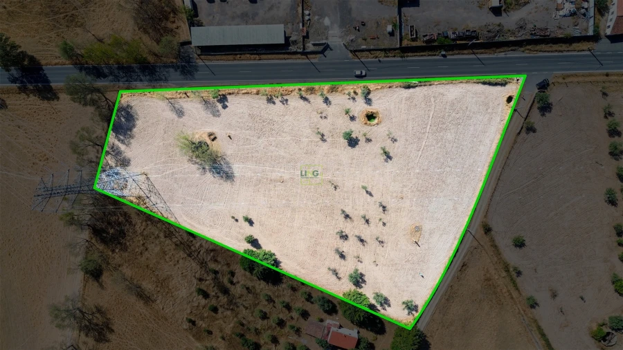 Terreno Agricola ou Rústico para Venda em Lardosa Foto 28