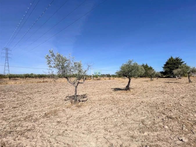 Terreno Agricola ou Rústico para Venda em Lardosa Foto 43