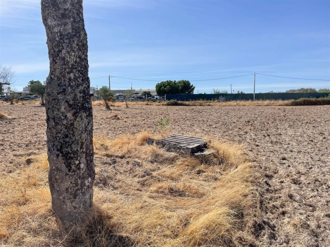 Terreno Agricola ou Rústico para Venda em Lardosa Foto 54