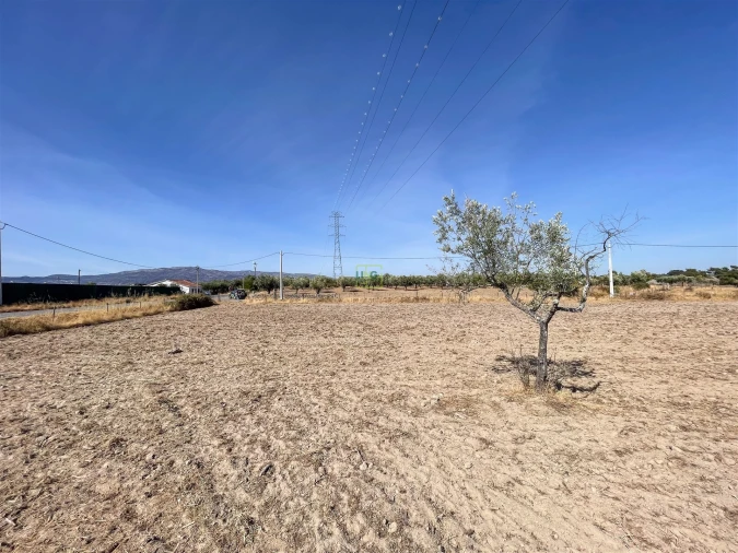 Terreno Agricola ou Rústico para Venda em Lardosa Foto 44