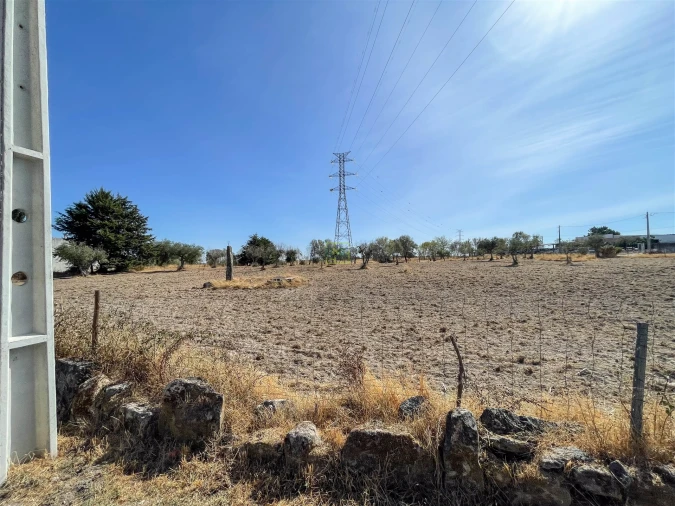 Terreno Agricola ou Rústico para Venda em Lardosa Foto 62