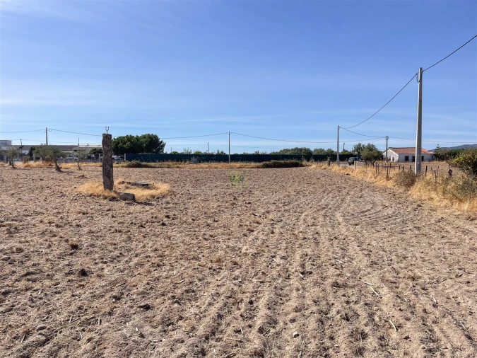 Terreno Agricola ou Rústico para Venda em Lardosa Foto 55