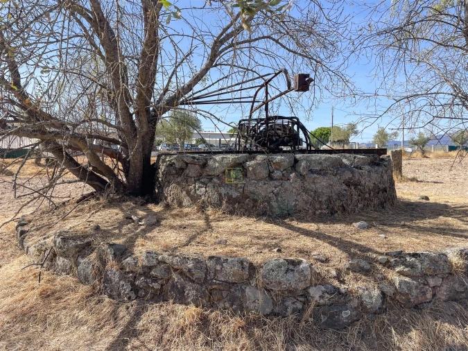 Terreno Agricola ou Rústico para Venda em Lardosa Foto 33
