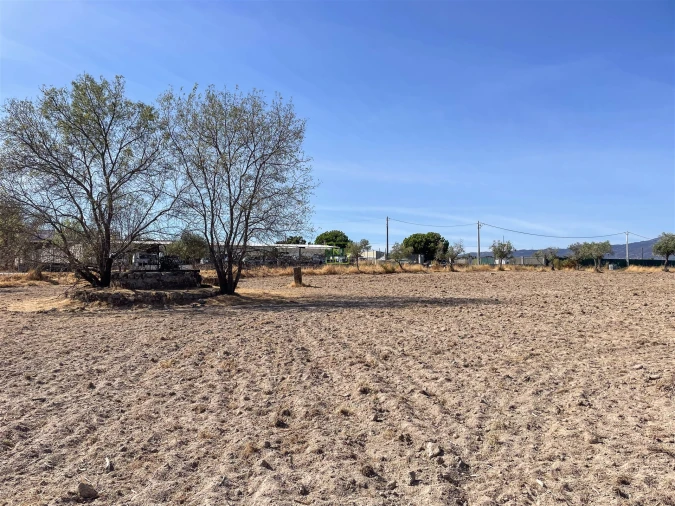 Terreno Agricola ou Rústico para Venda em Lardosa Foto 48