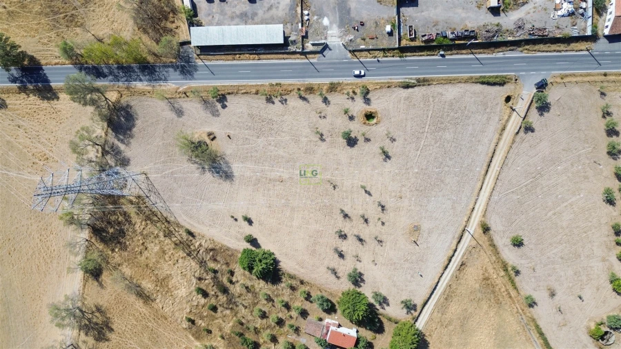 Terreno Agricola ou Rústico para Venda em Lardosa Foto 27