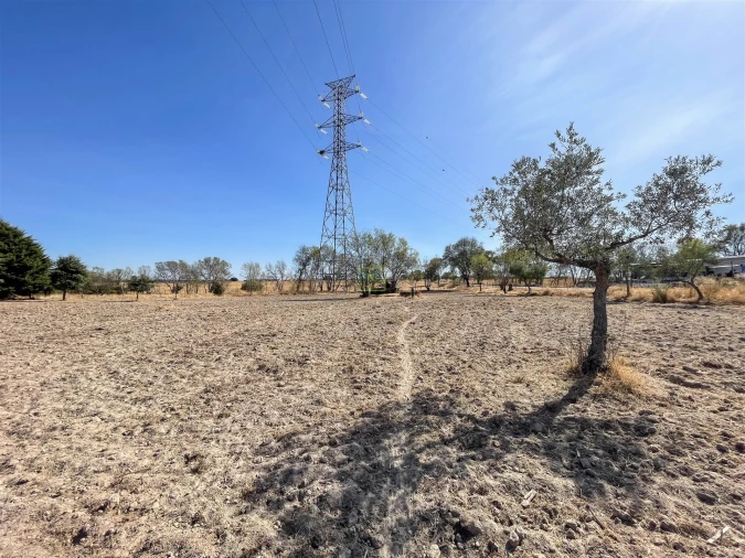 Terreno Agricola ou Rústico para Venda em Lardosa Foto 45