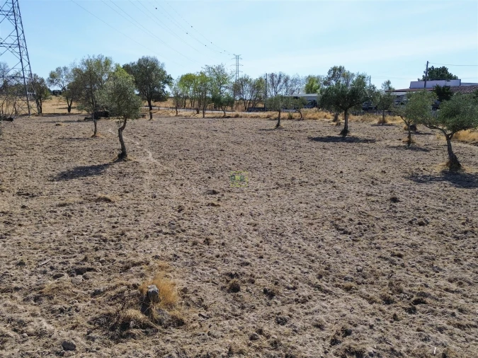 Terreno Agricola ou Rústico para Venda em Lardosa Foto 3