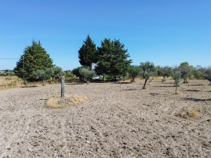 Terreno Agricola ou Rústico para Venda em Lardosa Foto 52