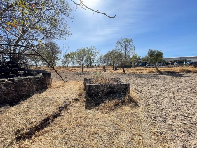 Terreno Agricola ou Rústico para Venda em Lardosa Foto 15