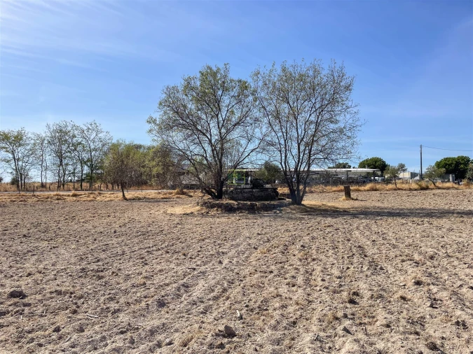 Terreno Agricola ou Rústico para Venda em Lardosa Foto 49
