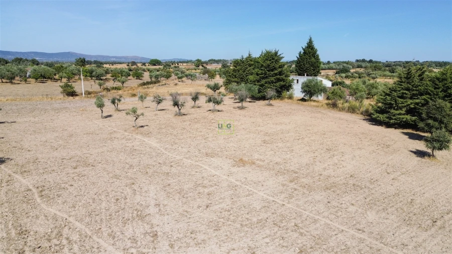 Terreno Agricola ou Rústico para Venda em Lardosa Foto 26