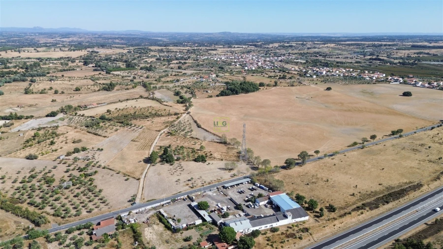 Terreno Agricola ou Rústico para Venda em Lardosa Foto 35