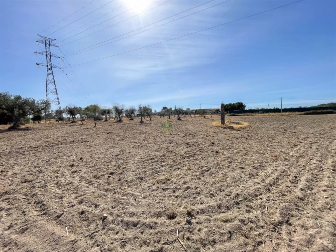 Terreno Agricola ou Rústico para Venda em Lardosa Foto 56