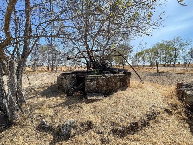 Terreno Agricola ou Rústico para Venda em Lardosa Foto 1