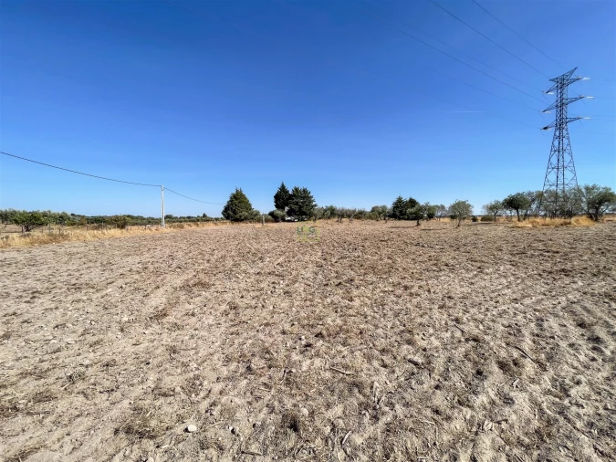 Terreno Agricola ou Rústico para Venda em Lardosa Foto 39