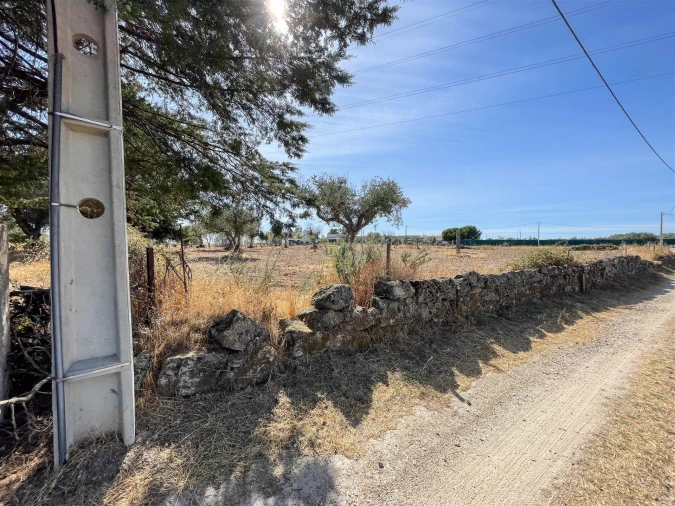 Terreno Agricola ou Rústico para Venda em Lardosa Foto 58