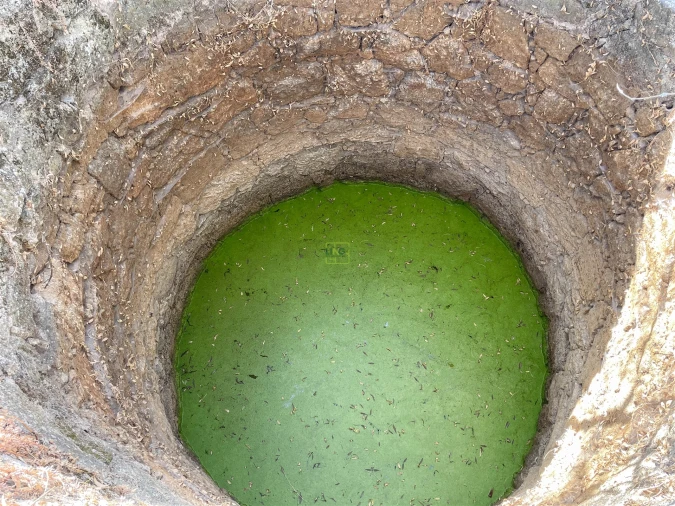 Terreno Agricola ou Rústico para Venda em Lardosa Foto 12