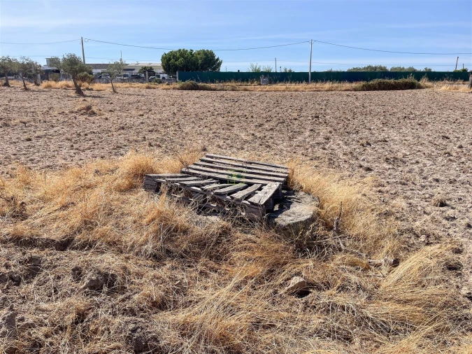 Terreno Agricola ou Rústico para Venda em Lardosa Foto 41