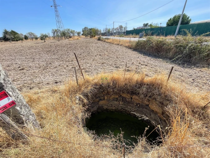 Terreno Agricola ou Rústico para Venda em Lardosa Foto 19