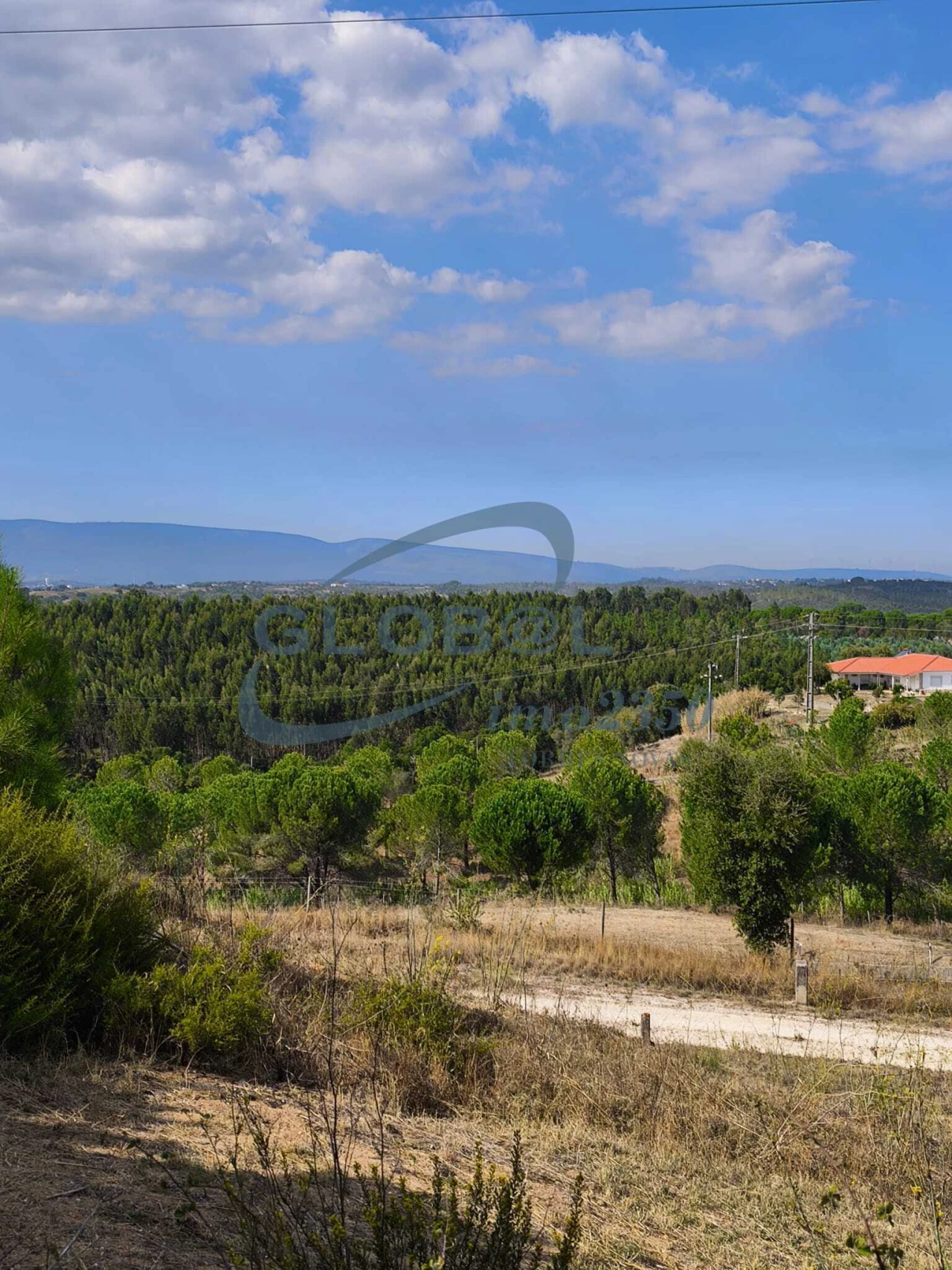 Terreno para Venda em Meia Via Foto 6