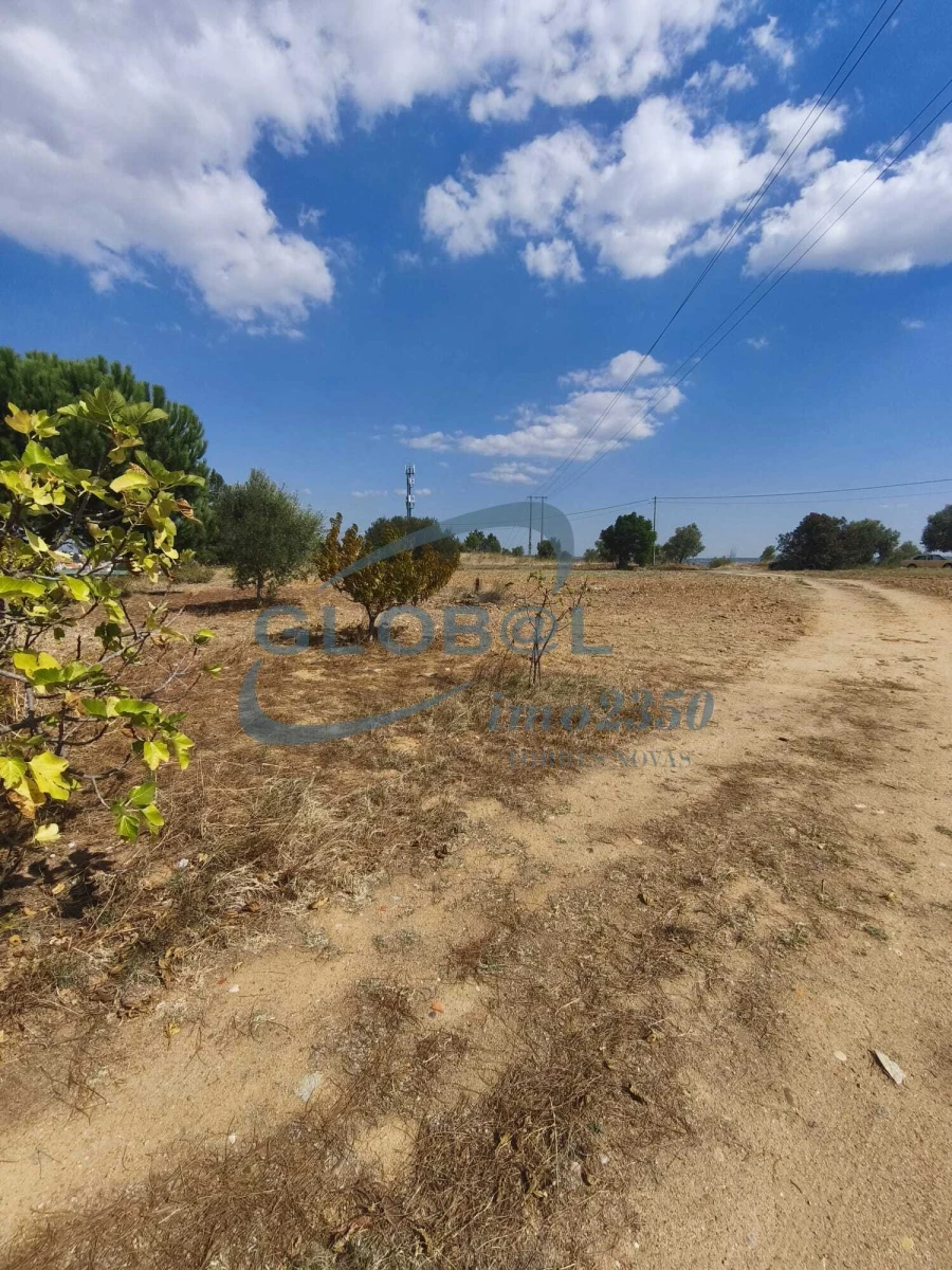 Terreno para Venda em Meia Via Foto 10
