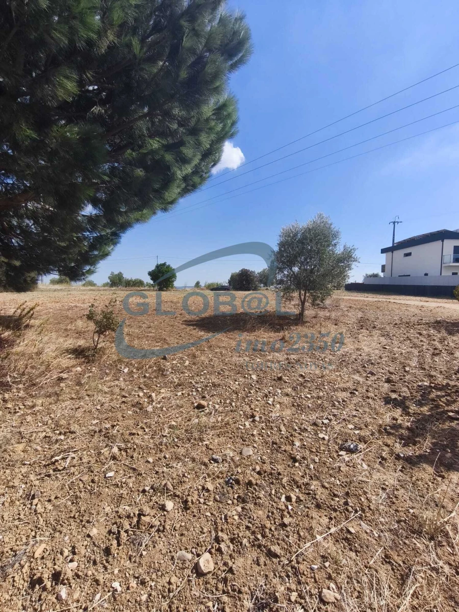 Terreno para Venda em Meia Via Foto 3