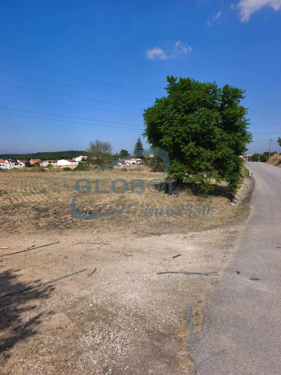 Terreno para Venda em Meia Via Foto 2