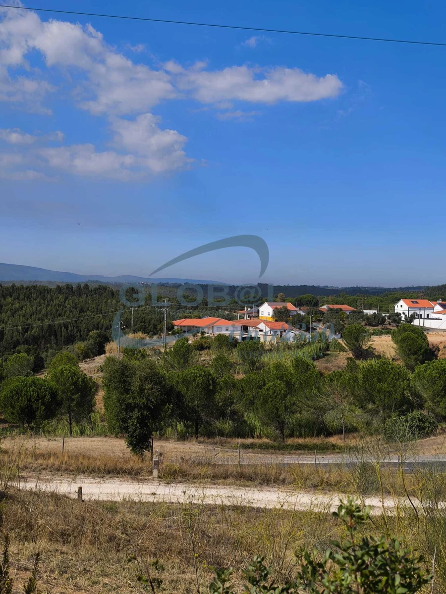 Terreno para Venda em Meia Via Foto 4