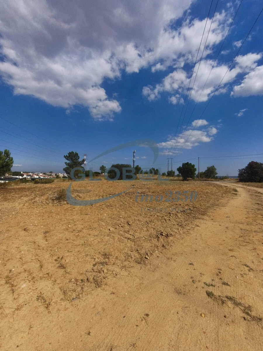 Terreno para Venda em Meia Via Foto 11